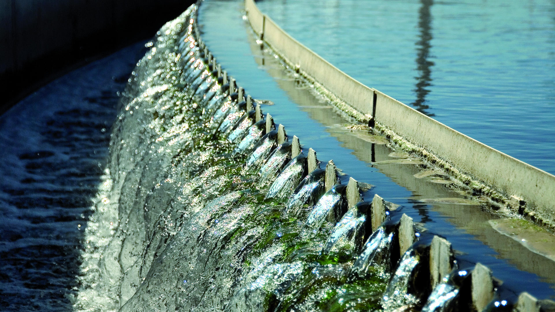 Consorcio de Augas do Louro